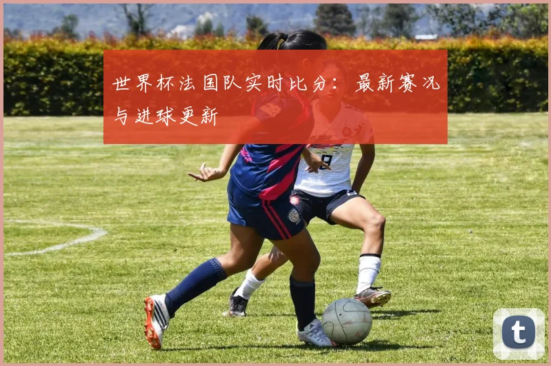 世界杯法国队实时比分：最新赛况与进球更新